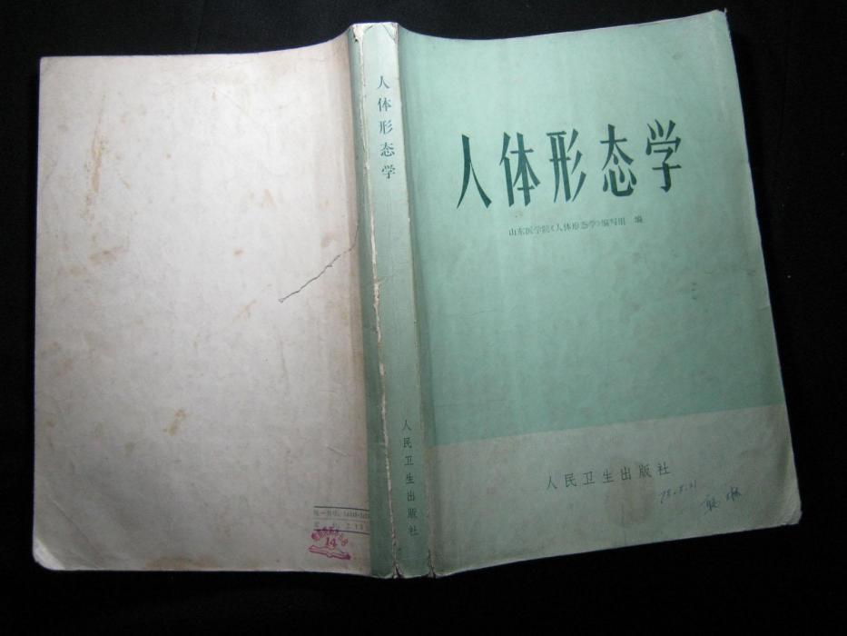 人體形態學(2000年北京醫科大學出版社出版的圖書)