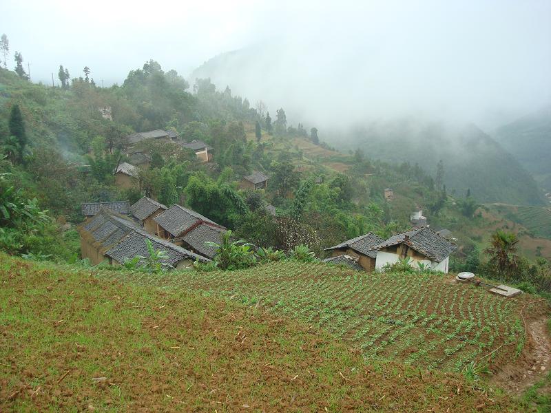 青勝村(雲南省景東彝族自治縣安定鄉轄村)