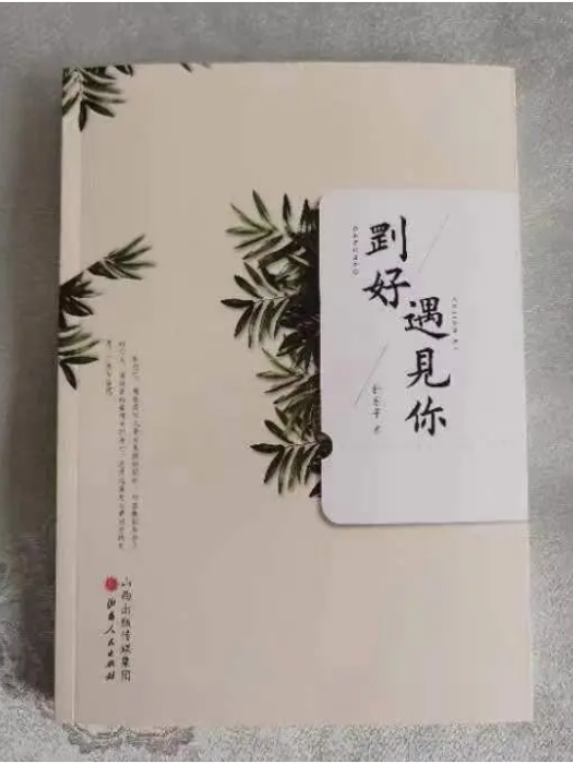 剛好遇見你(2023年2月山西人民出版社出版的圖書)