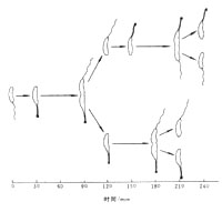 不等二分裂