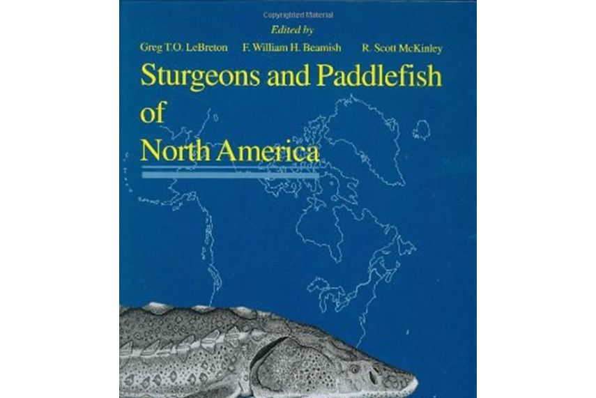 Sturgeons and Paddlefish of North America