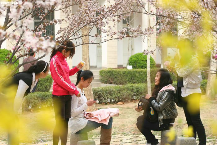 山東英才學院外國語與國際交流學院