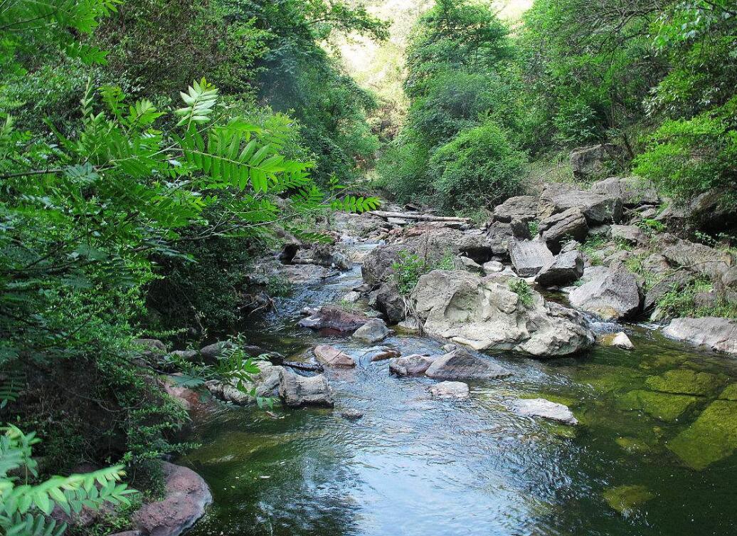 野花溝