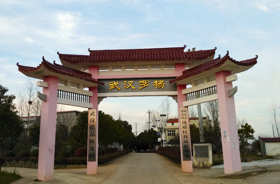 羅楊村(湖北武漢市新洲區潘塘街道羅楊村)