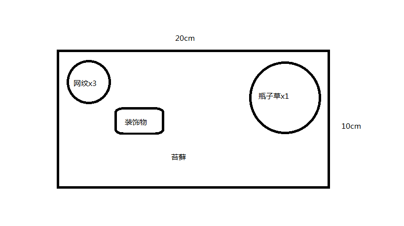 海螺瓶子草