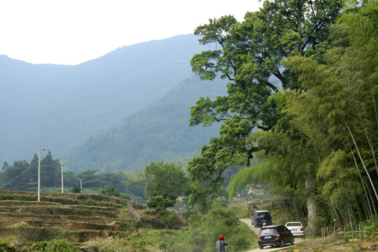 大華山村(1、江西省樂安縣寺灣鎮下轄村)