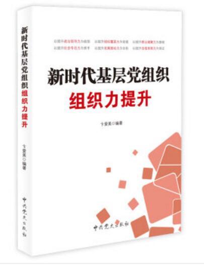新時代基層黨組織組織力提升