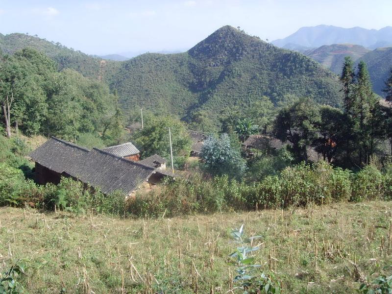 大龍潭自然村(雲南省賓川縣鐘英僳僳族彝族鄉下轄村)