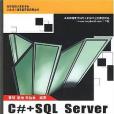 C#+SQL Server中小型信息系統開發實例精選