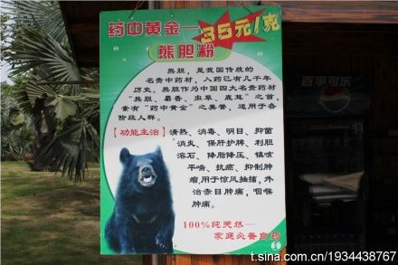 南寧動物園售熊膽粉引爭議
