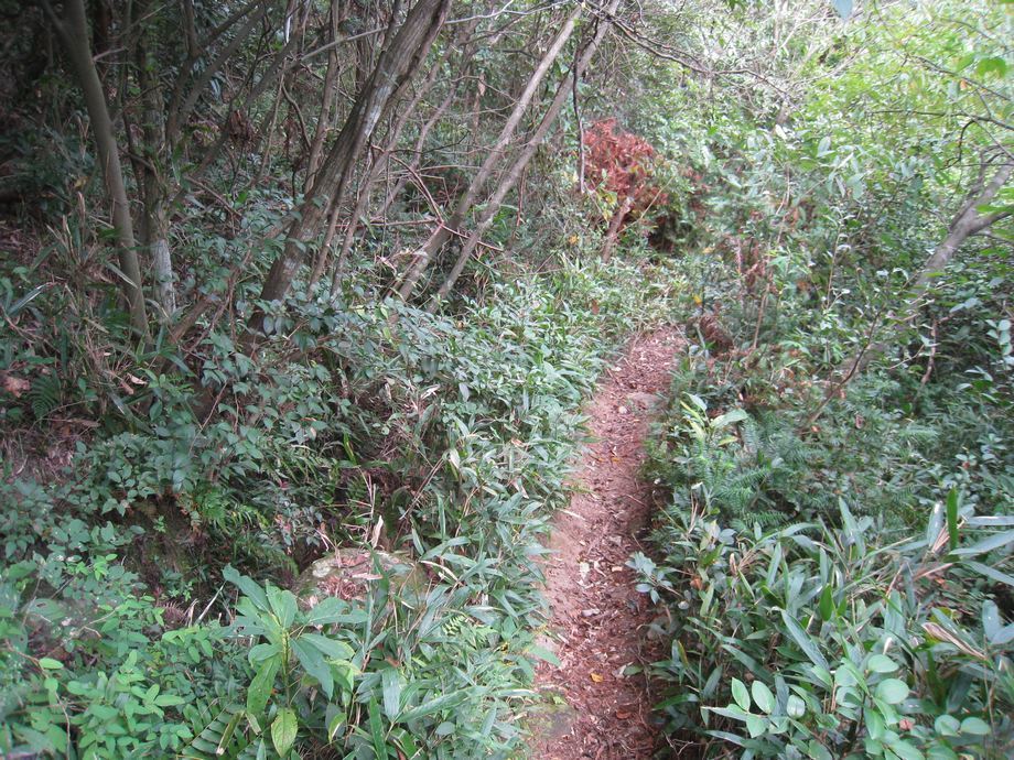 百坑嶺山道