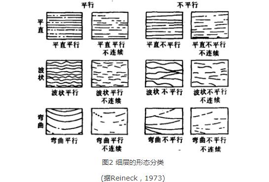 煤系沉積構造