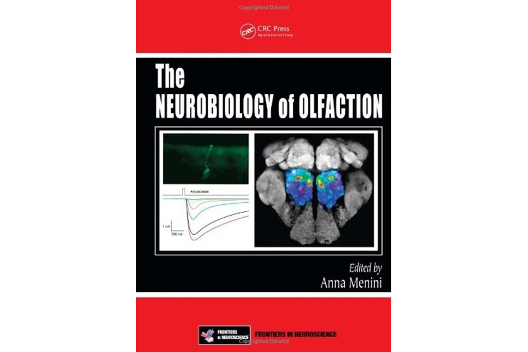 The Neurobiology of Olfaction