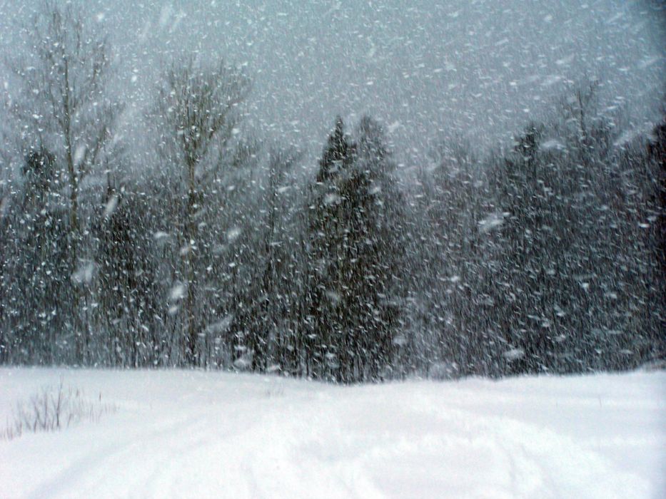 風雪(氣候)