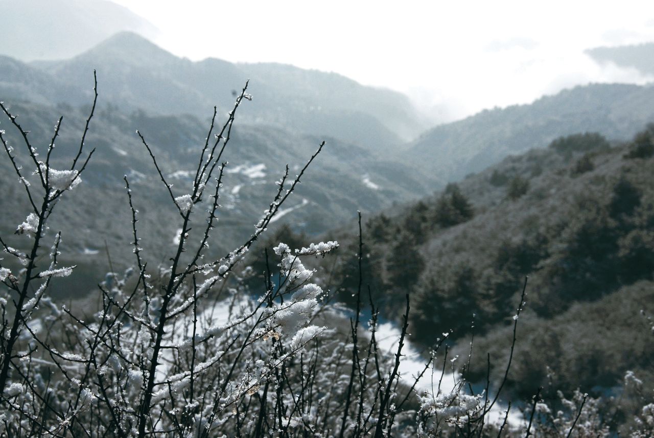 雪景