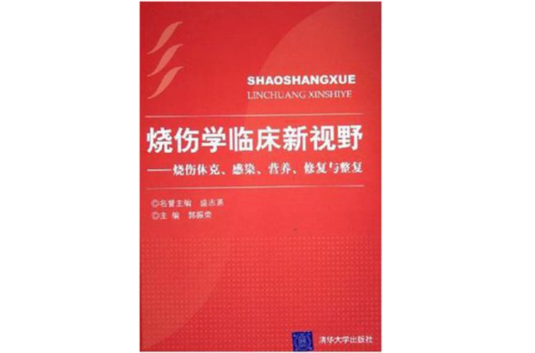 燒傷學臨床新視野(燒傷學臨床新視野——燒傷休克、感染、營養、修復與整復)