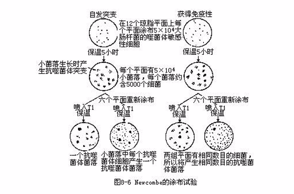 影印平板法