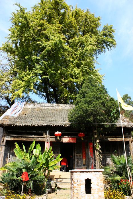 雲岩寺(河南嵩縣雲岩寺)