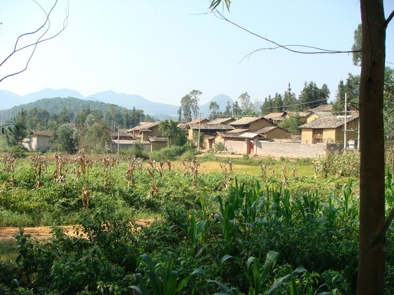 打磨山大石橋一村