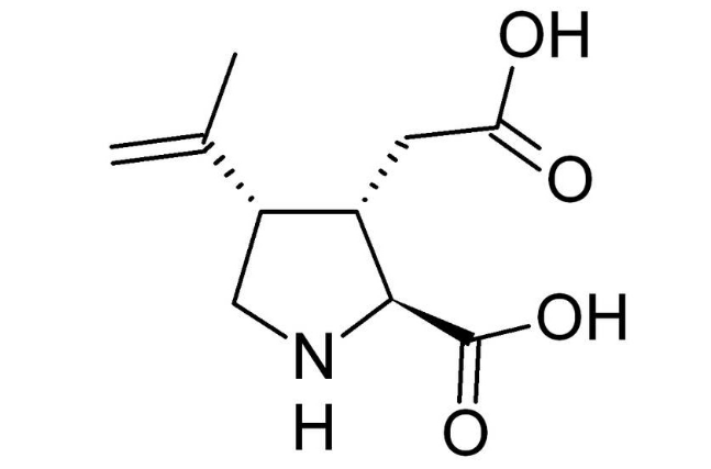 紅藻氨酸