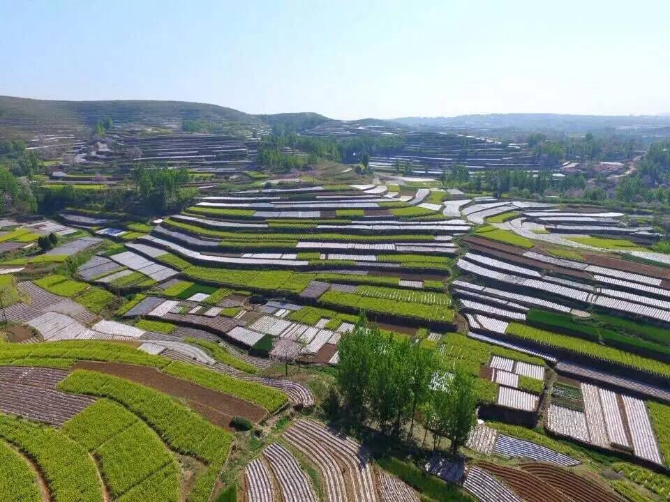 桃棵子紅色旅遊區