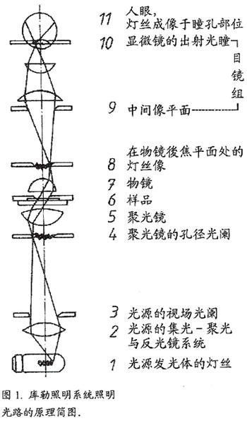 柯勒照明光路圖