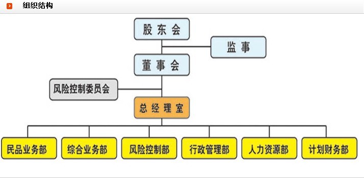 公司組織結構圖