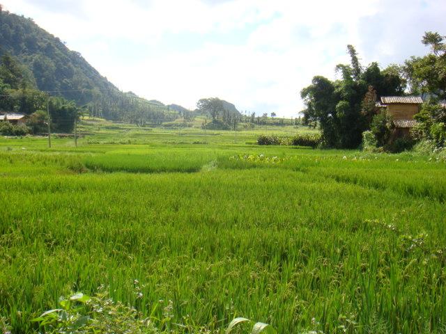 小秧田沖村