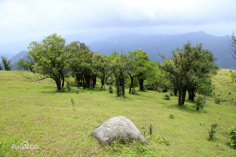 羅定八排山