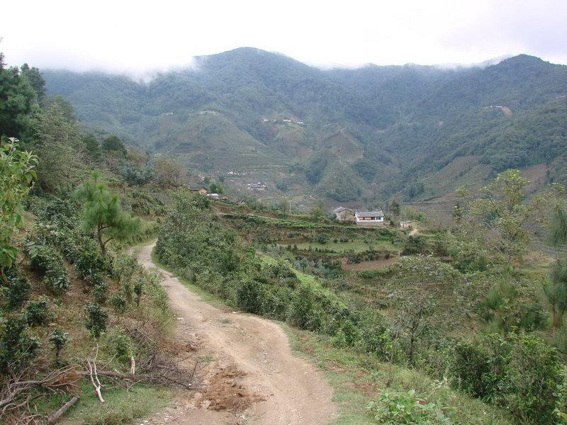 茶花村(雲南隆陽區楊柳鄉下轄村)