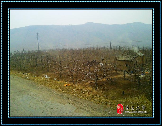 蓮花鎮林果產業基地