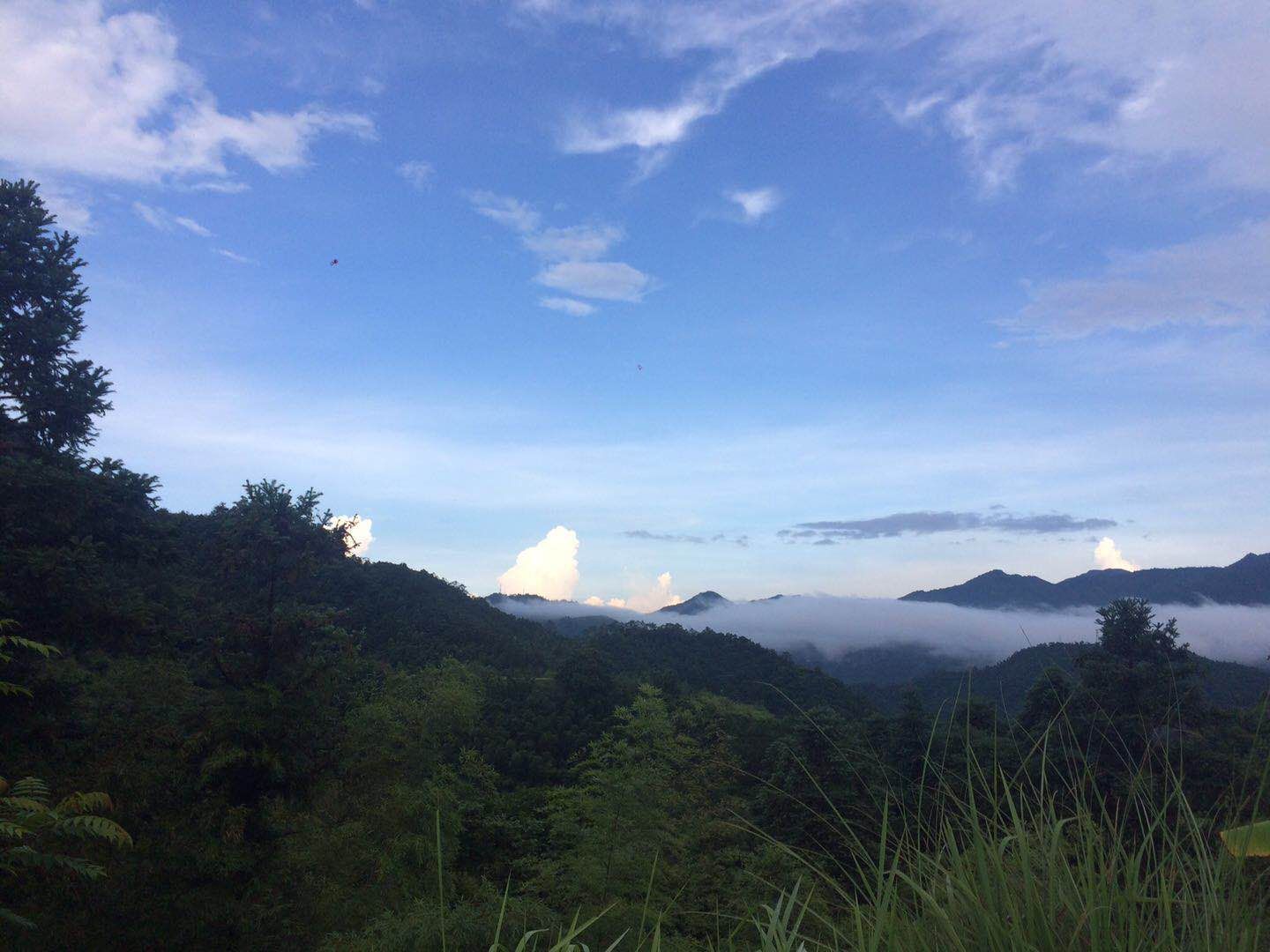 白龍河霧一景