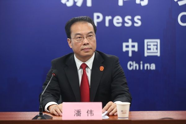 潘偉(南京江北新區人民法院副院長)