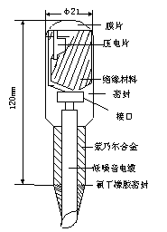 圖3  水聽器頭部斷面