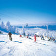 西柏坡滑雪場