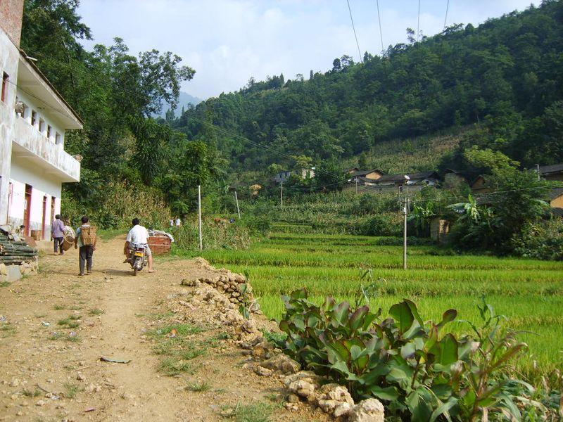 進村道路