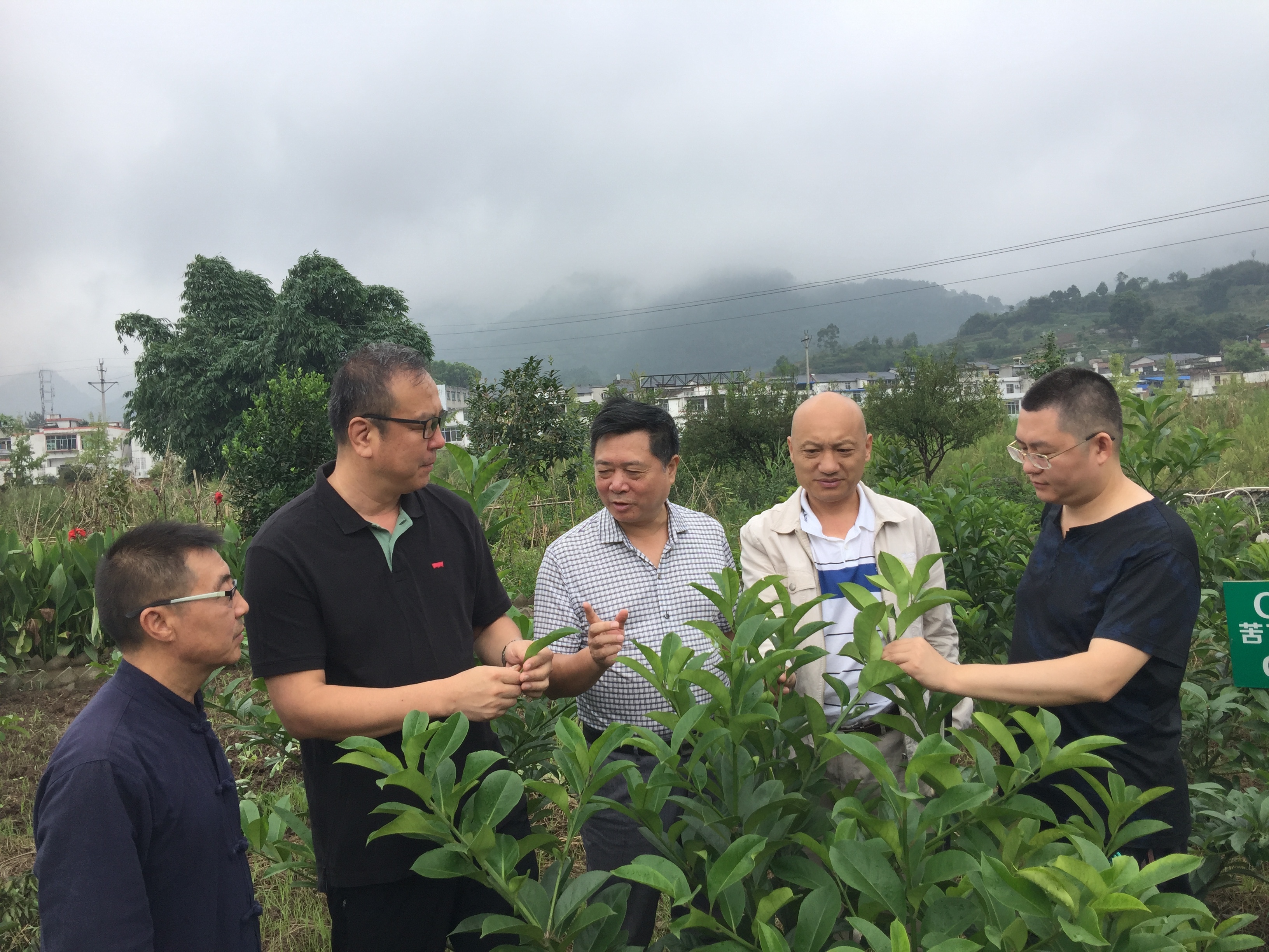 北方十六省市茶業合作聯席會議