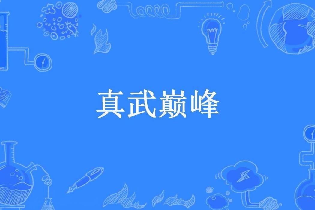 真武巔峰(江躍所著小說)