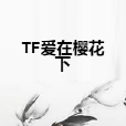 TF愛在櫻花下