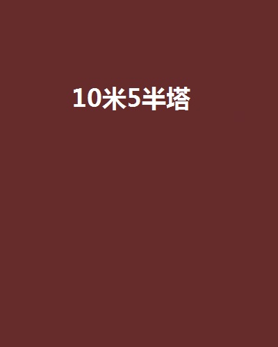 10米5半塔