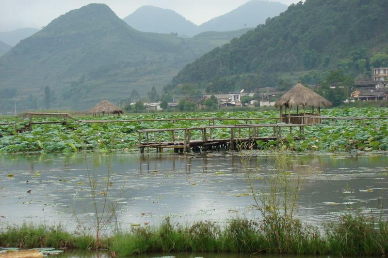 山邑村