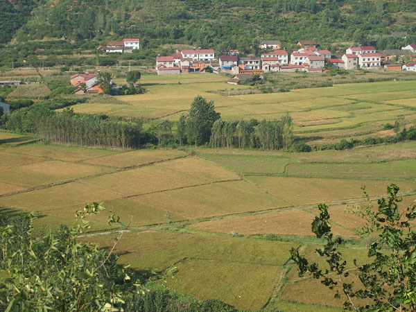 大文東自然村