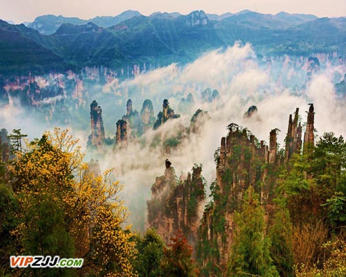 天子山風景區