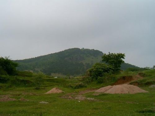 四頂山濱湖旅遊區