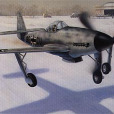 ME309戰鬥機