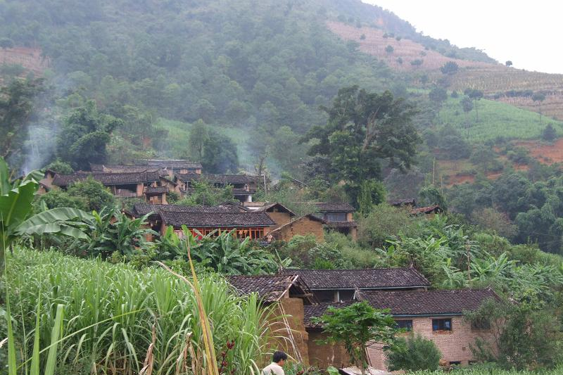 多依箐村(雲南省尋甸縣柯渡鎮下轄村)