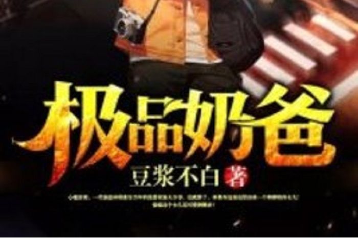 極品奶爸(豆漿不白所著小說)