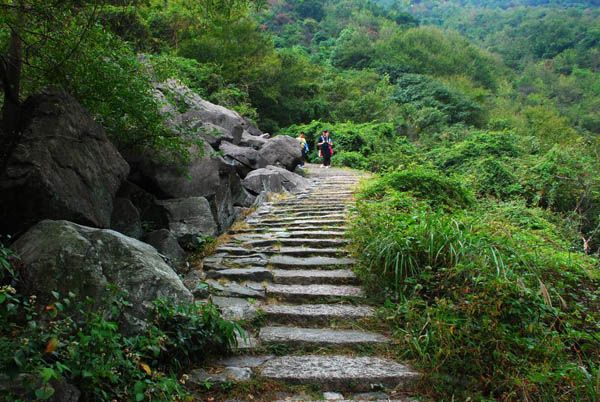 大羅山龍脊古道