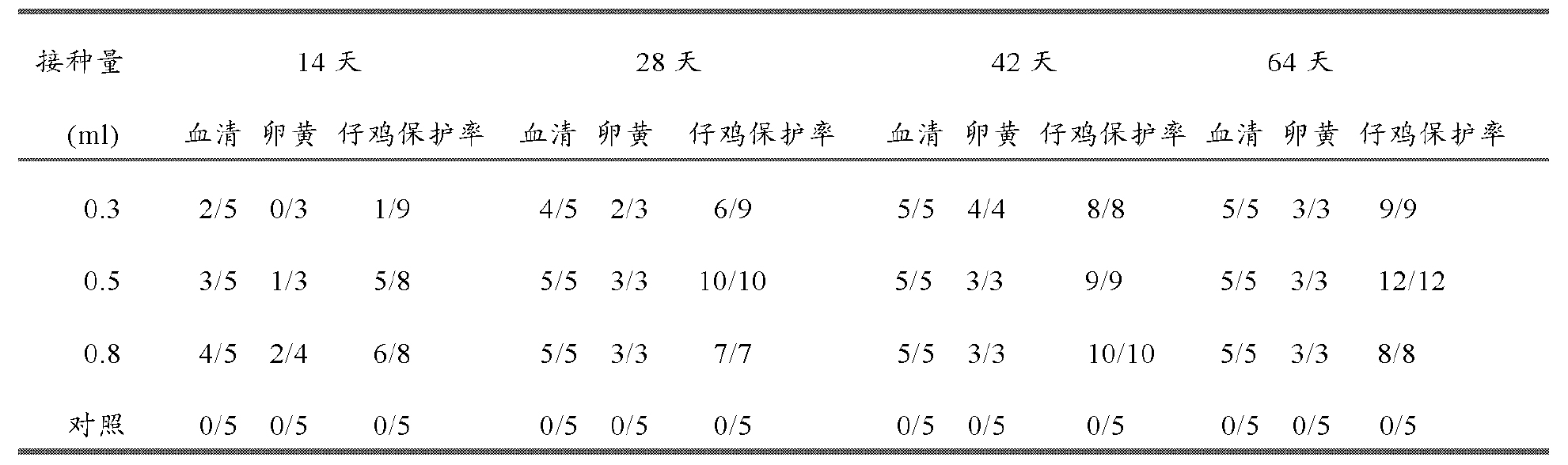 雞傳染性法氏囊病超強毒的細胞適應株及其套用