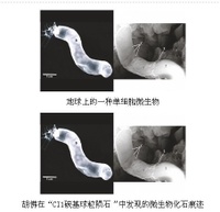 CI1碳基球粒隕石